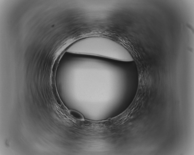 X0000101660292200807101031