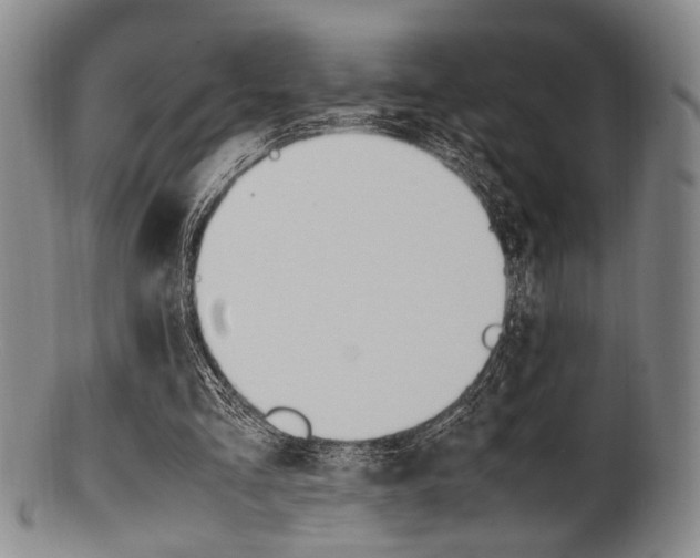 X0000101660293200807101031