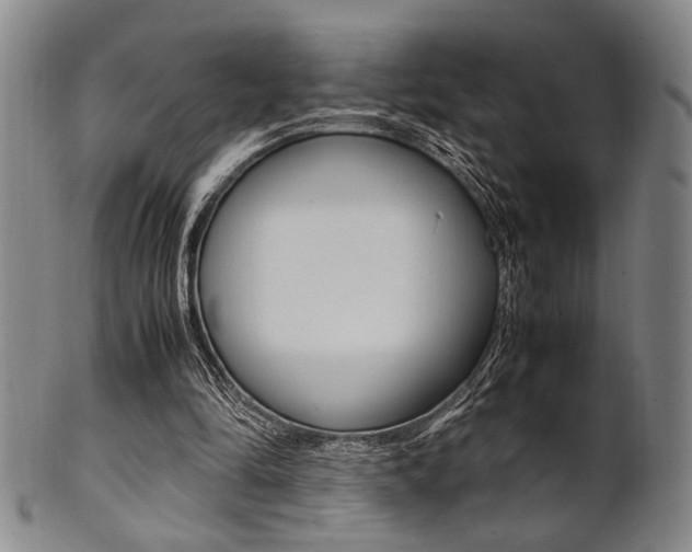 X0000101660294200807101031