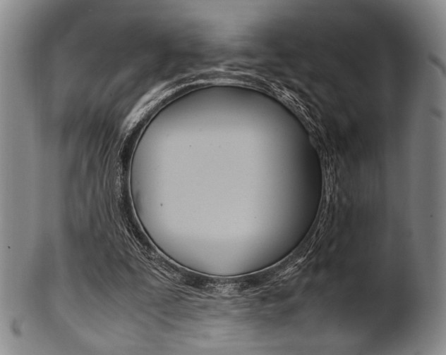 X0000101660295200807101031
