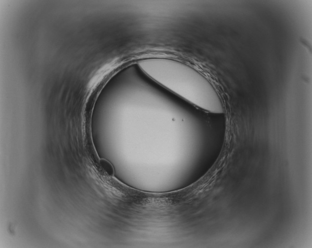 X0000101660296200807101031