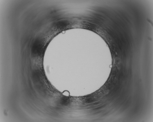 X0000101660297200807101031
