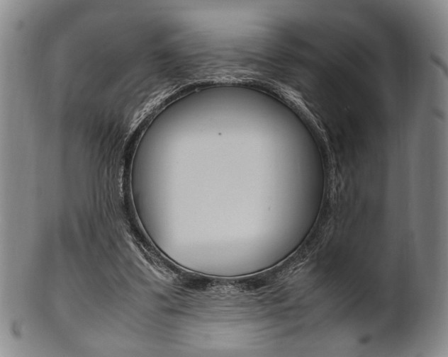X0000101660299200807101031