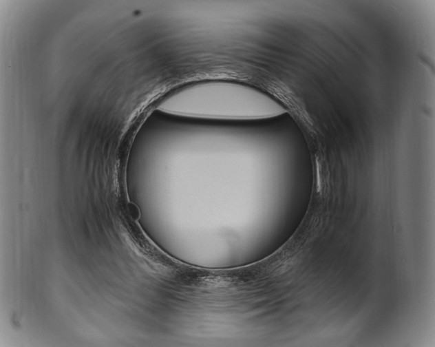 X0000101660300200807101031