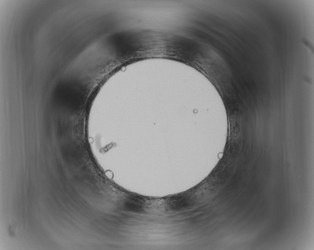 X0000101660301200807101031