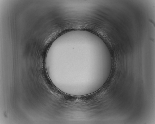 X0000101660303200807101031