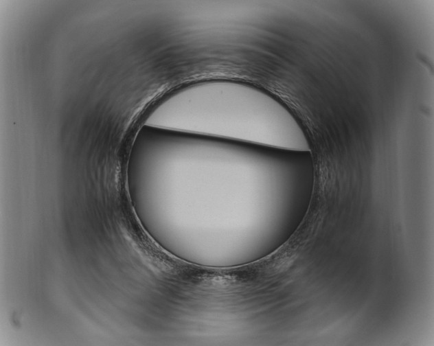 X0000101660304200807101031