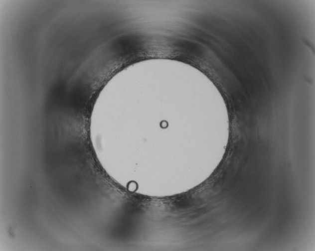 X0000101660305200807101031