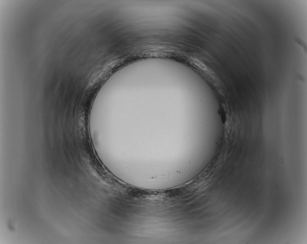 X0000101660306200807101031