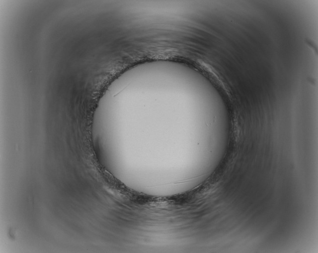 X0000101660307200807101031