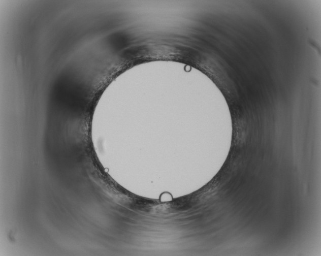 X0000101660309200807101031