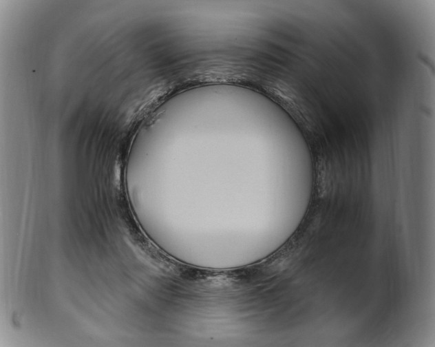 X0000101660310200807101031