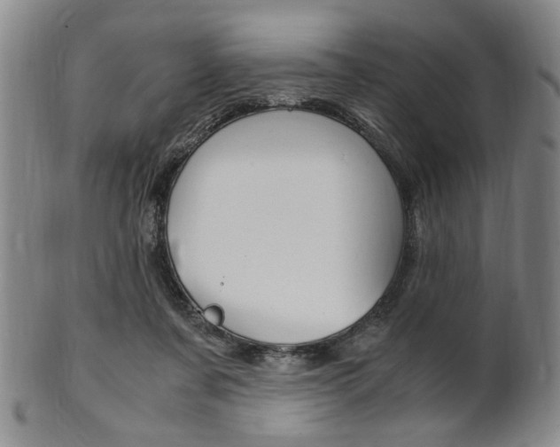 X0000101660311200807101031