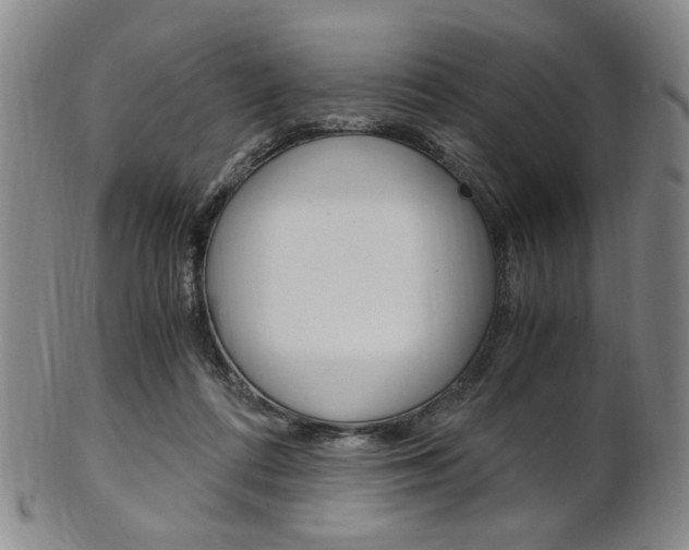 X0000101660312200807101031