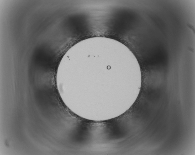 X0000101660313200807101031