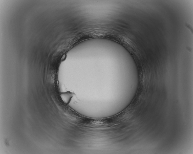 X0000101660315200807101031