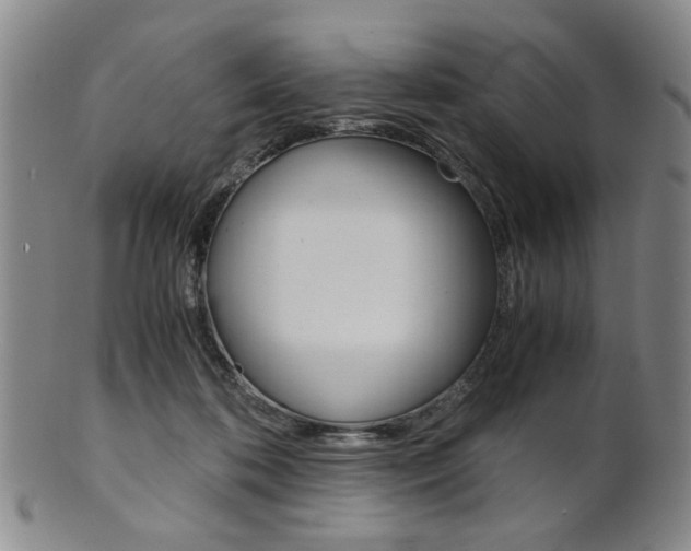 X0000101660316200807101031