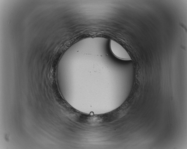 X0000101660319200807101031