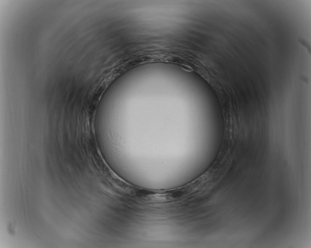 X0000101660320200807101031