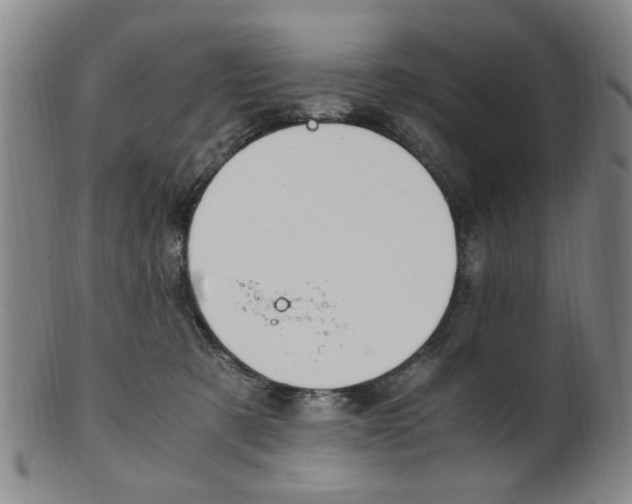 X0000101660321200807101031
