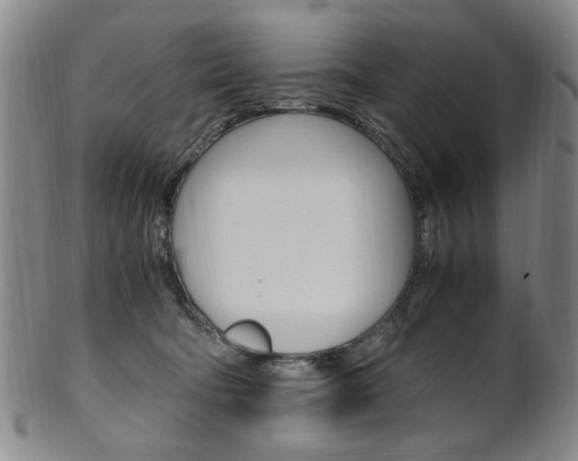 X0000101660322200807101031