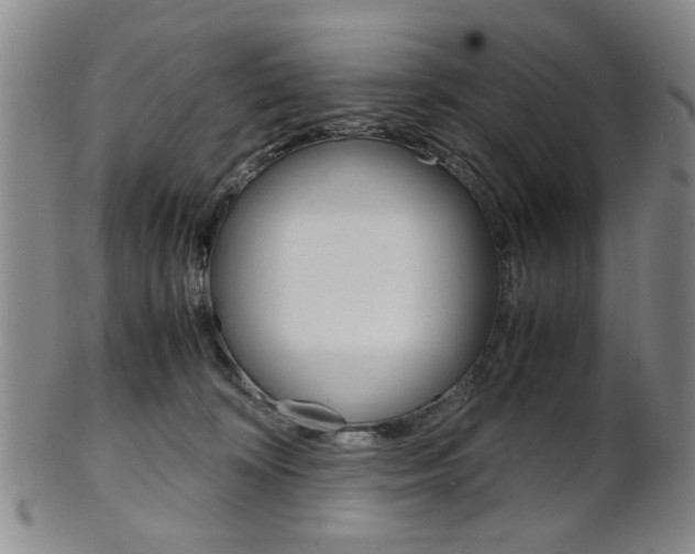 X0000101660324200807101031