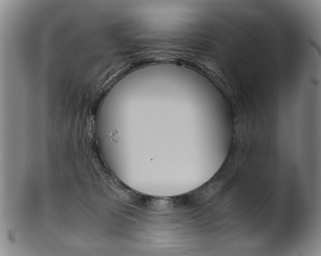 X0000101660325200807101031
