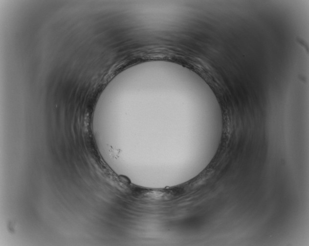 X0000101660326200807101031