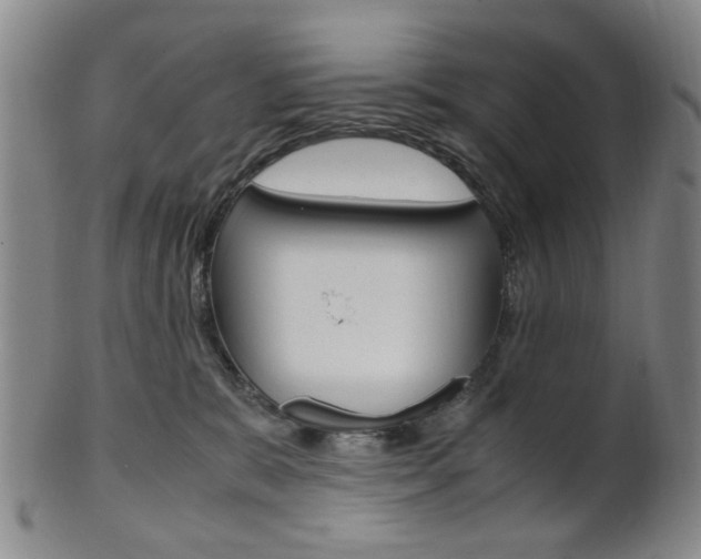 X0000101660327200807101031