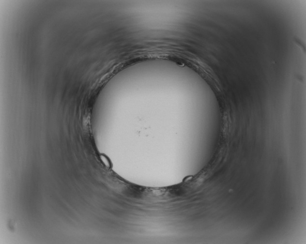 X0000101660329200807101031