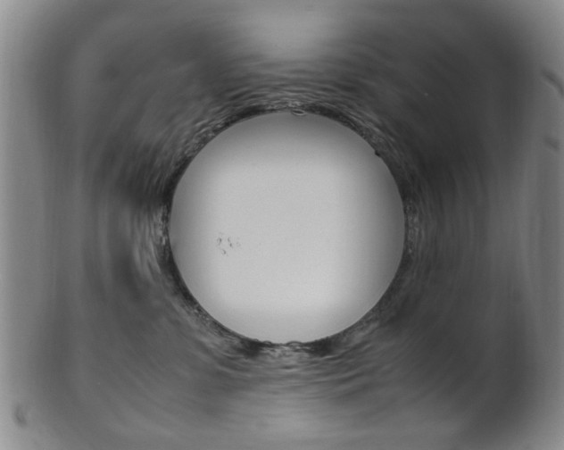 X0000101660331200807101031