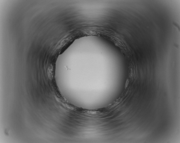 X0000101660332200807101031