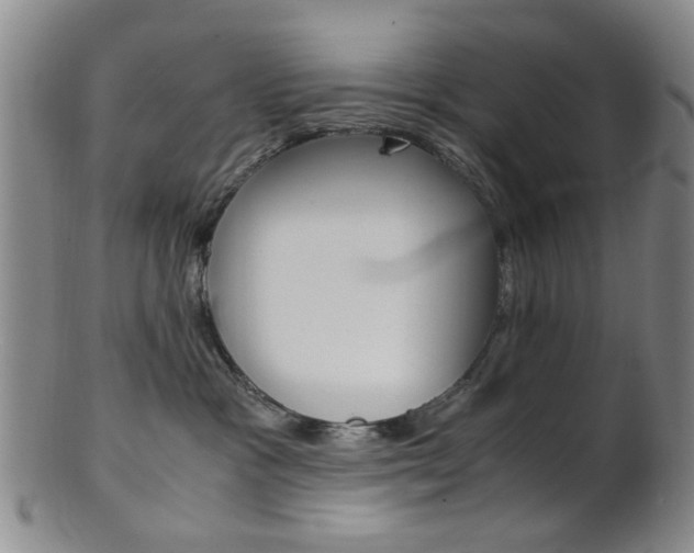 X0000101660333200807101031