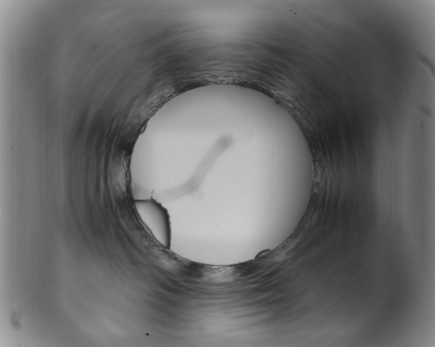 X0000101660334200807101031