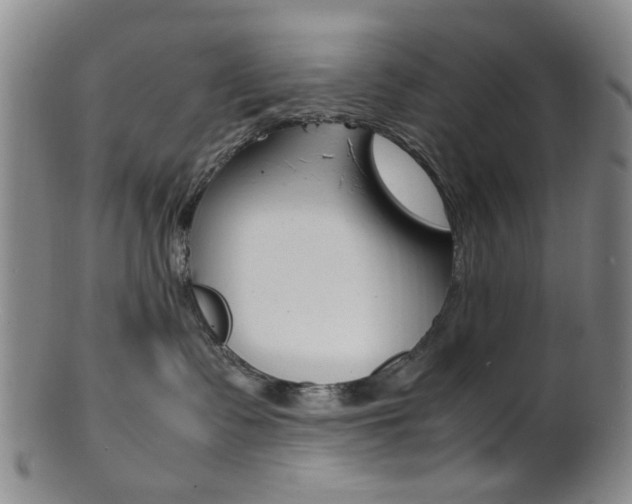 X0000101660335200807101031
