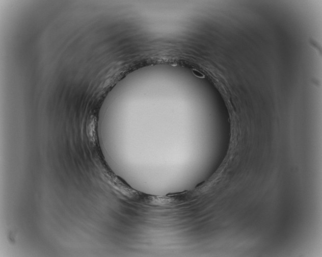 X0000101660336200807101031