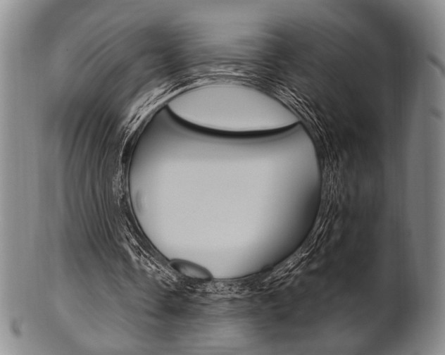 X0000101660338200807101030