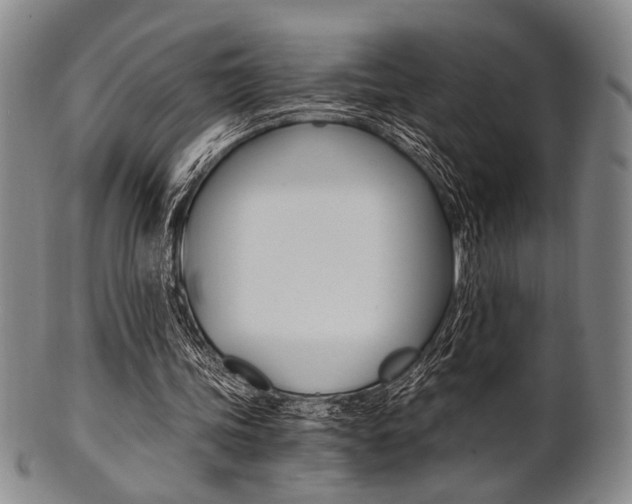 X0000101660339200807101030