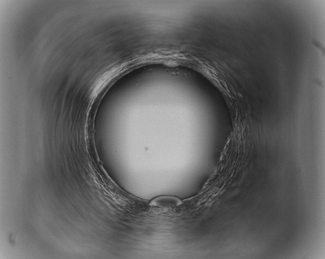 X0000101660340200807101030