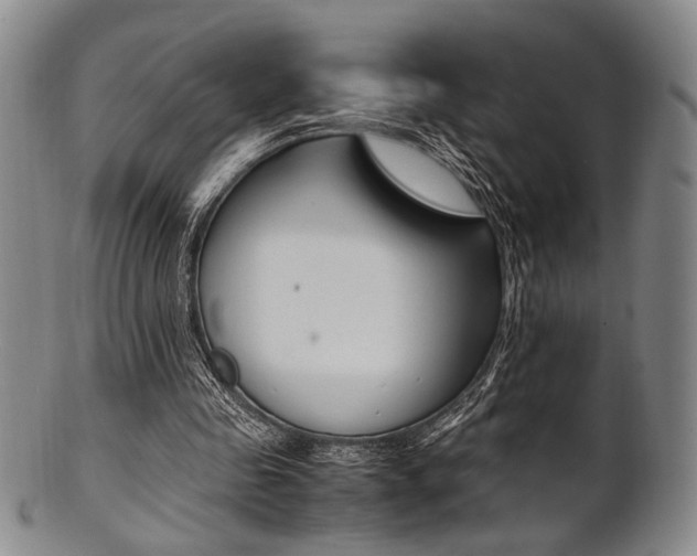 X0000101660341200807101030