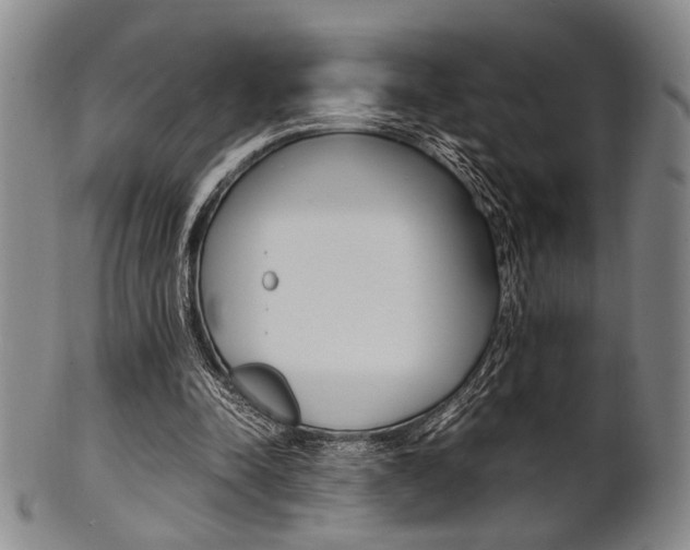 X0000101660342200807101030