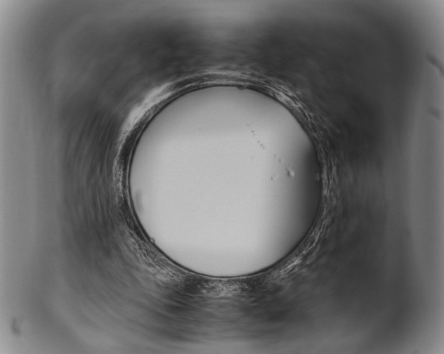 X0000101660343200807101030