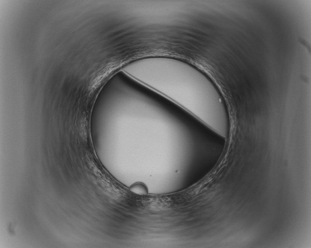 X0000101660345200807101030