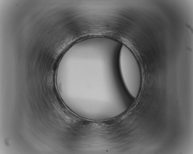 X0000101660346200807101030