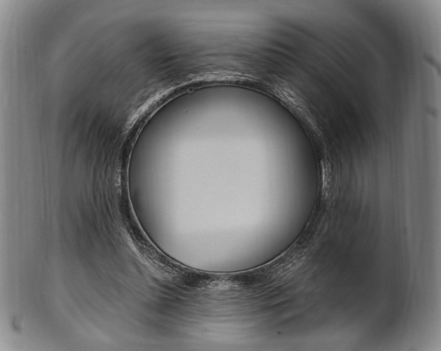 X0000101660348200807101030