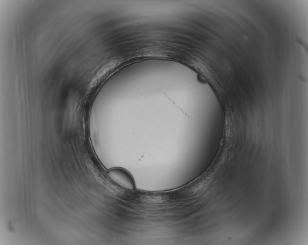 X0000101660349200807101030