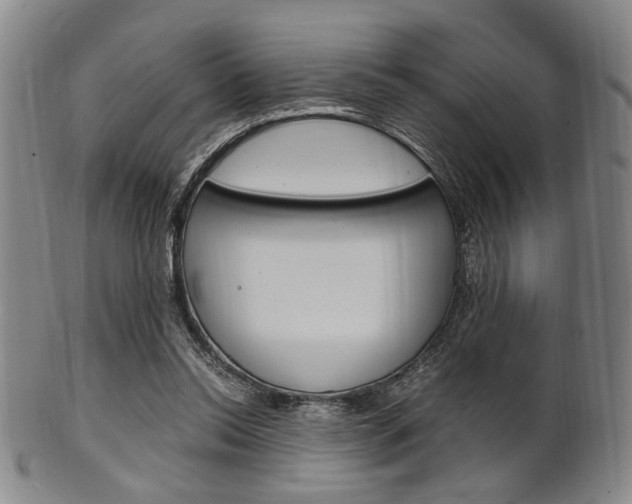 X0000101660350200807101030
