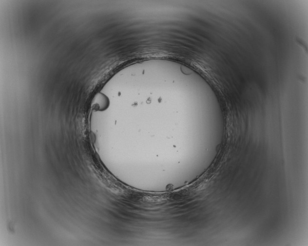 X0000101660351200807101030