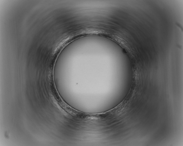 X0000101660352200807101030