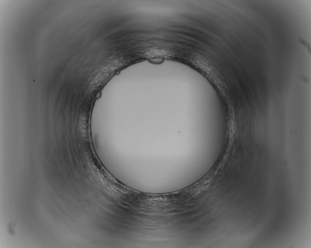 X0000101660353200807101030